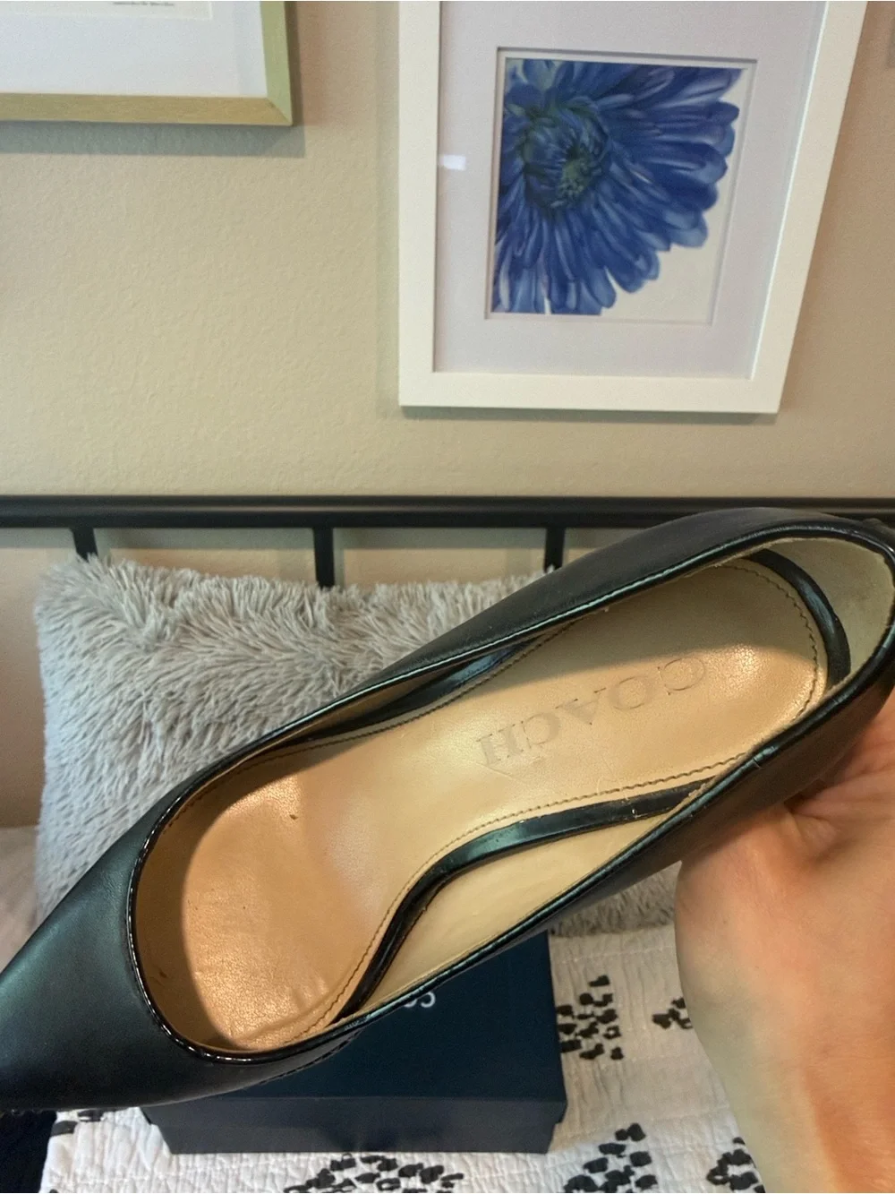 Coach Black Pointed-Toe Leather Pumps